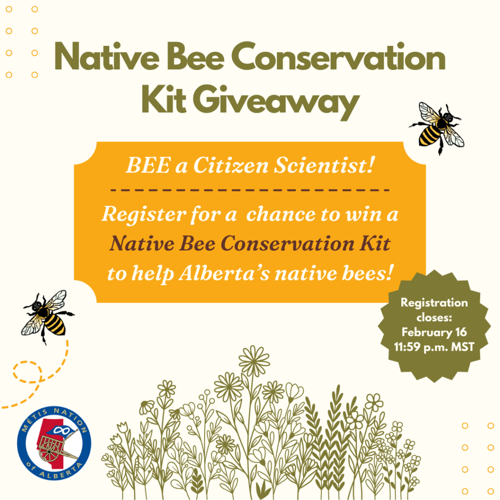 Annual Bee Kit Giveaway 