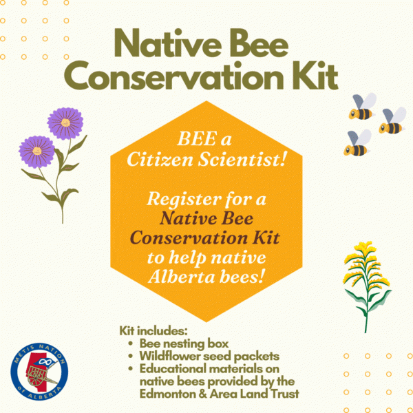 Native Bee Conservation Program M Tis Nation Of Alberta