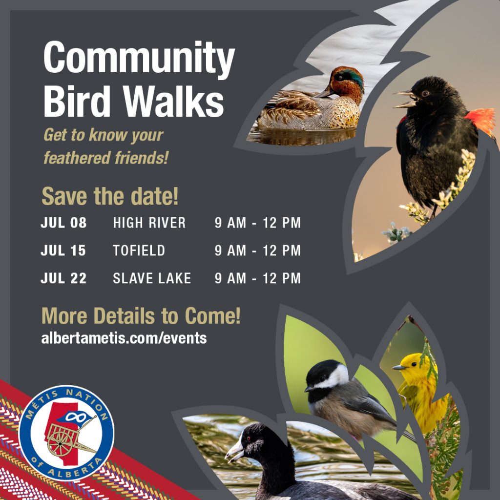 Community Bird Walks. Get to know your feathered friends! Save the date! July 8 in High River from 9 a.m. to 12 p.m., July 15 in Tofield from 9 a.m. to 12 p.m., and July 22 in Slave Lake from 9 a.m to 12 p.m. More details to come! albertametis.com/events