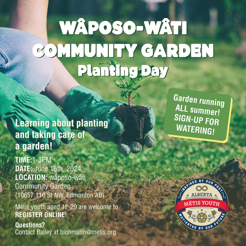 Do you have a green thumb? The Youth Department has reserved a plot at the wâposo-wâti Community Garden, and we are kicking off this summer by hosting a gardening day! ‍ Métis youth ages 12-29 are invited to come help learning about planting and taking care of a garden. Want to help our team keep the garden growing all summer long? Sign up for a time slot and stop by and water the plot any time! TIME:1-3PM DATE: June 16th, 2024 LOCATION: wâposo-wâti Community Garden (10657 110 St NW, Edmonton AB) Métis youth aged 12-29 are welcome to here: https://docs.google.com/forms/d/1AeLJAyGgfXfaKeYPUNyowBNyb1ppEQE-e0Sk9uKyA6s/edit Questions? Contact Bailey at blohmann@metis.org 