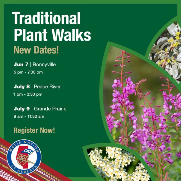 Plant Walks - Métis Nation of Alberta