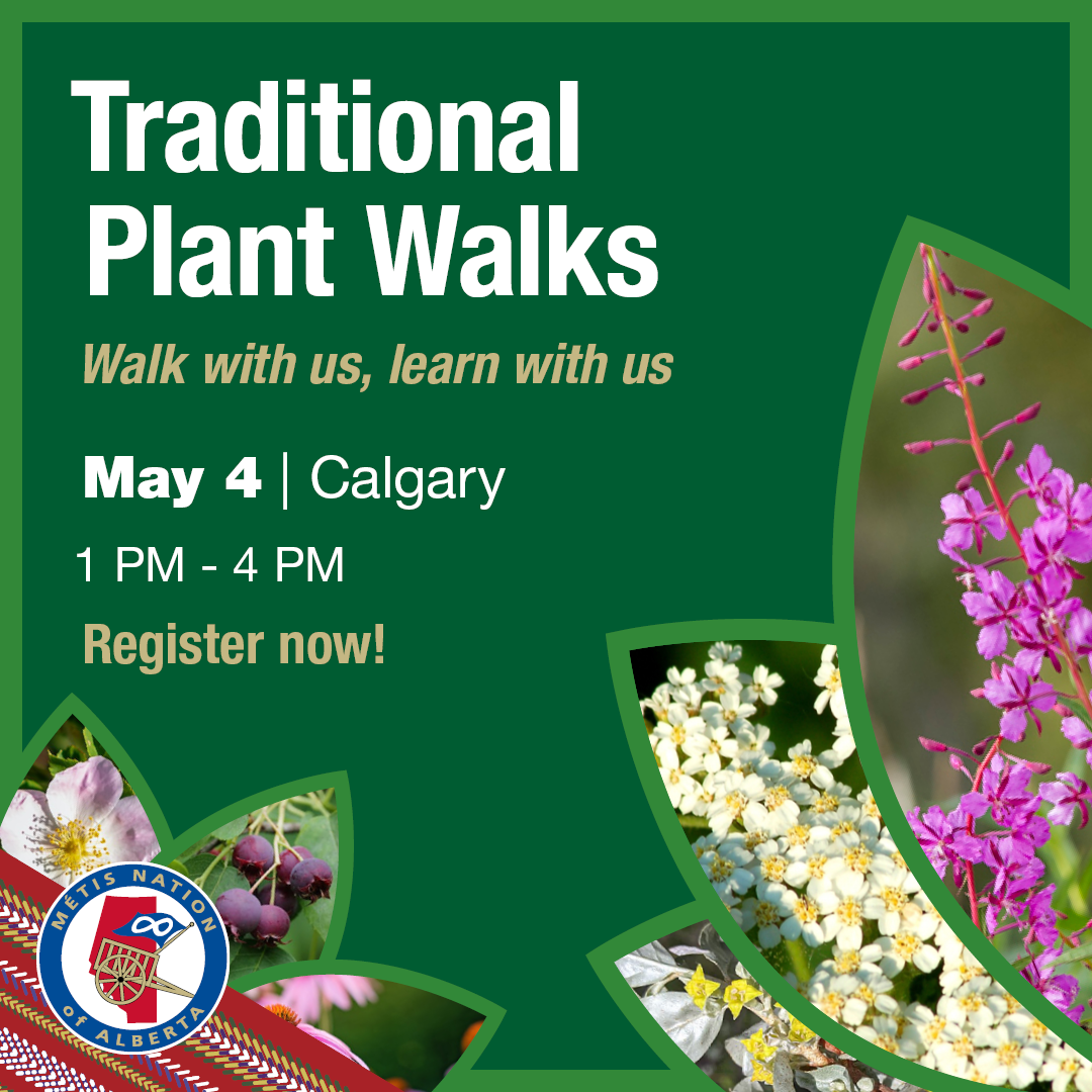 Traditional Plant Walks Calgary Métis Nation of Alberta