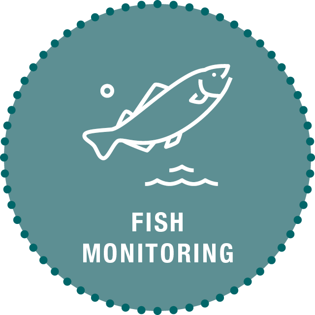 Fish Monitoring