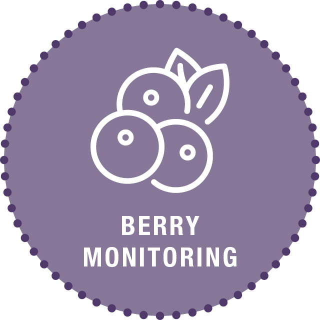 Berry Monitoring